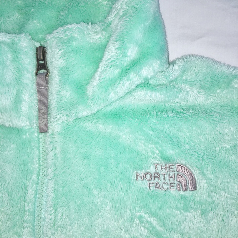 The North Face Osito fleece jacket.  Girls 18  XL